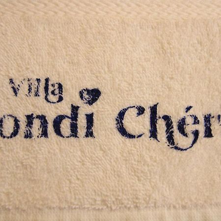 La Villa Pondi Cherie Centertownbeachauroville Puducherry Buitenkant foto